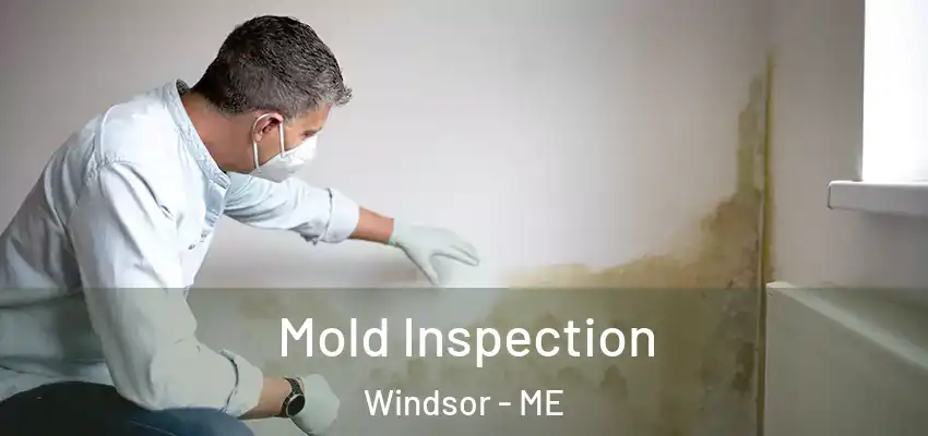  Mold Inspection Windsor - ME