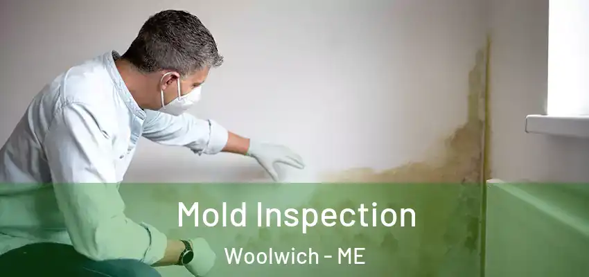  Mold Inspection Woolwich - ME