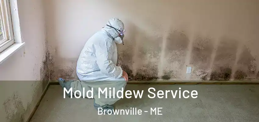 Mold Mildew Service Brownville - ME