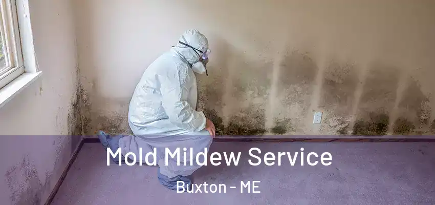 Mold Mildew Service Buxton - ME
