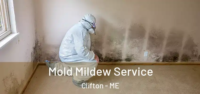 Mold Mildew Service Clifton - ME