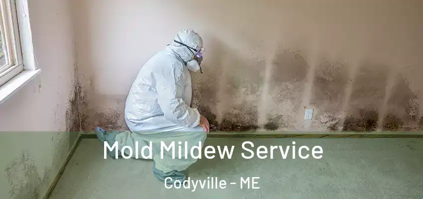 Mold Mildew Service Codyville - ME
