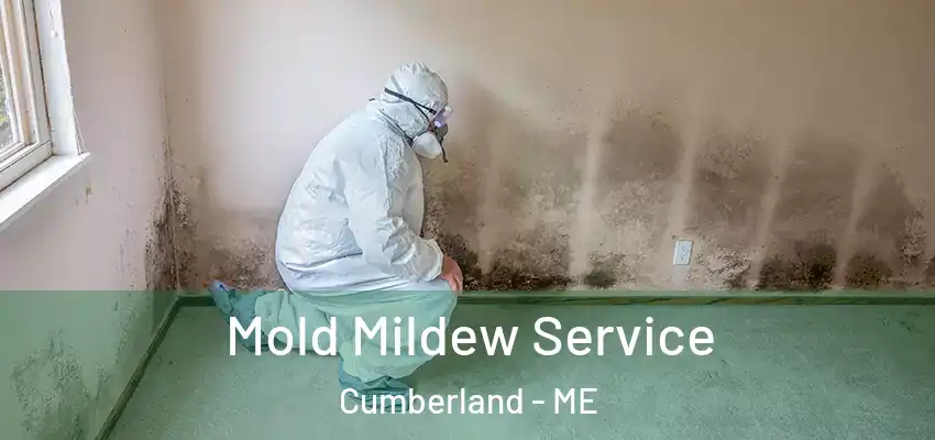  Mold Mildew Service Cumberland - ME