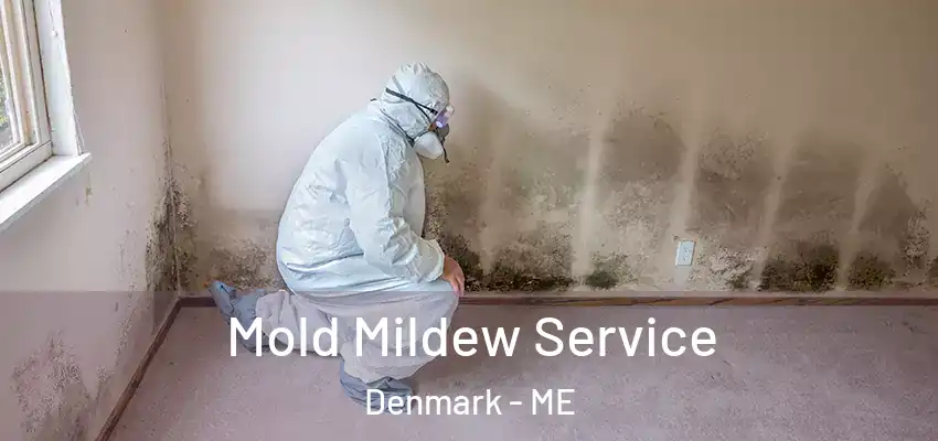  Mold Mildew Service Denmark - ME
