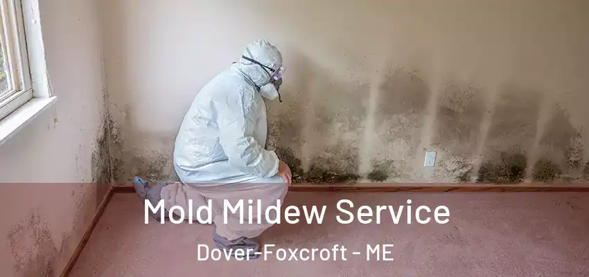 Mold Mildew Service Dover-Foxcroft - ME