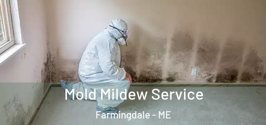  Mold Mildew Service Farmingdale - ME