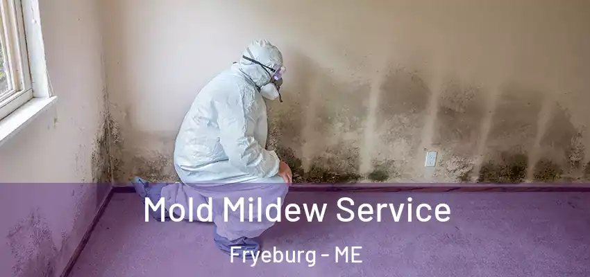 Mold Mildew Service Fryeburg - ME