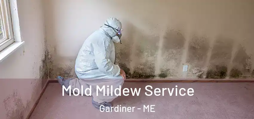  Mold Mildew Service Gardiner - ME