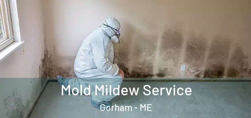  Mold Mildew Service Gorham - ME