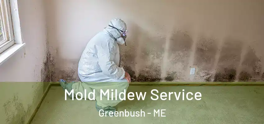  Mold Mildew Service Greenbush - ME