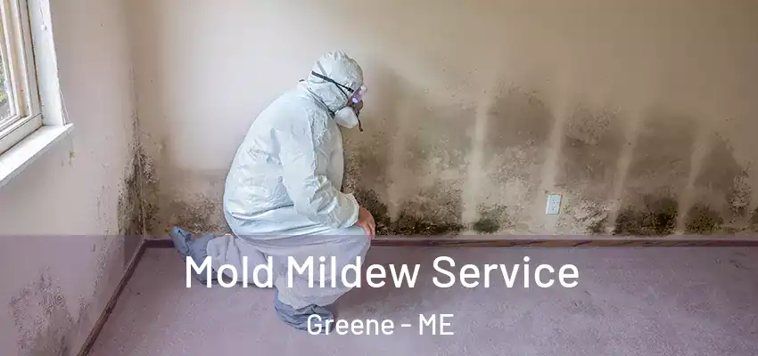  Mold Mildew Service Greene - ME