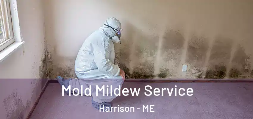  Mold Mildew Service Harrison - ME