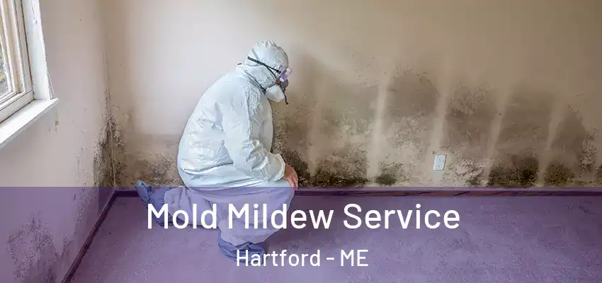 Mold Mildew Service Hartford - ME