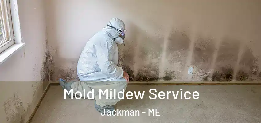  Mold Mildew Service Jackman - ME
