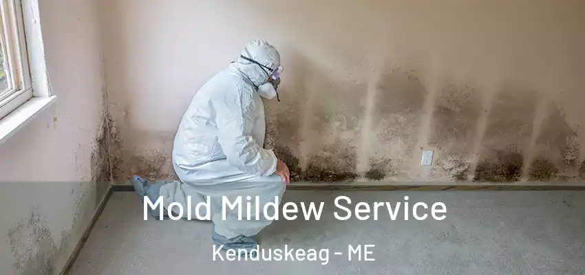  Mold Mildew Service Kenduskeag - ME
