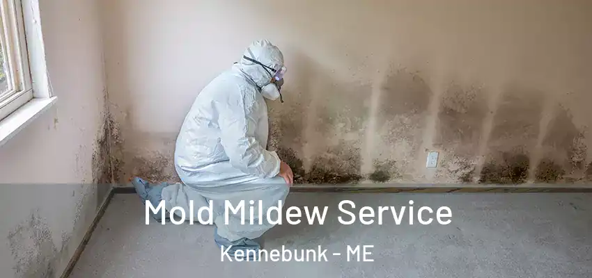 Mold Mildew Service Kennebunk - ME