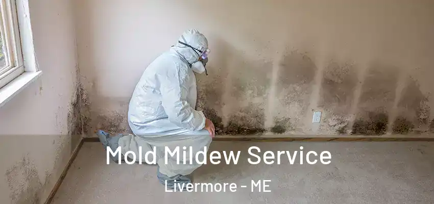  Mold Mildew Service Livermore - ME