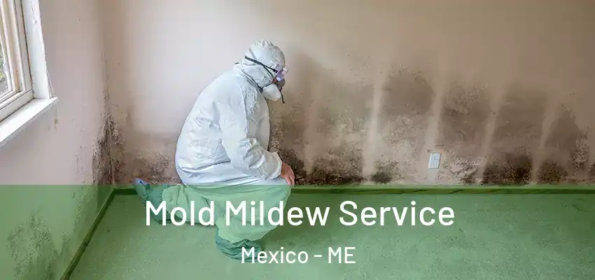 Mold Mildew Service Mexico - ME