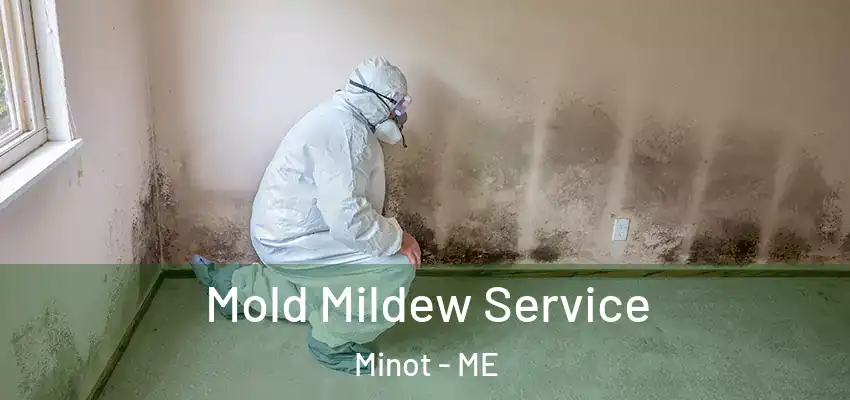 Mold Mildew Service Minot - ME