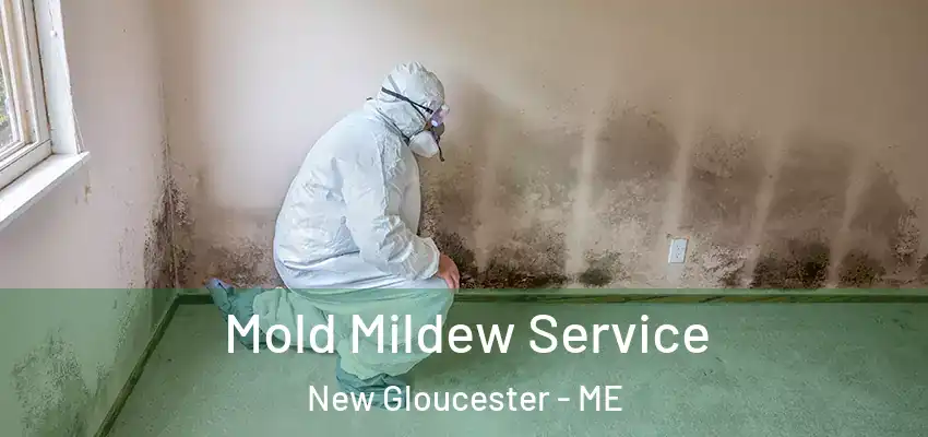 Mold Mildew Service New Gloucester - ME