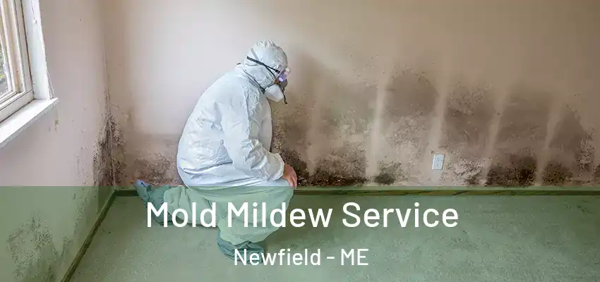 Mold Mildew Service Newfield - ME