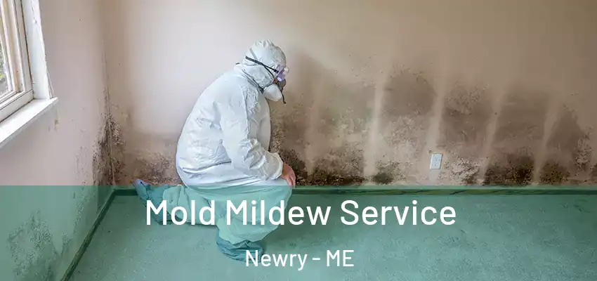  Mold Mildew Service Newry - ME