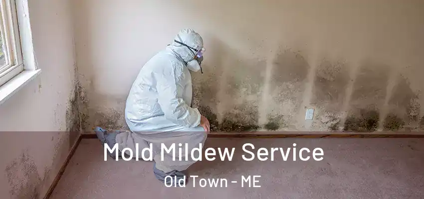 Mold Mildew Service Old Town - ME