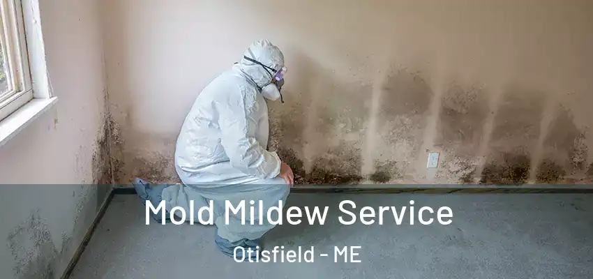 Mold Mildew Service Otisfield - ME