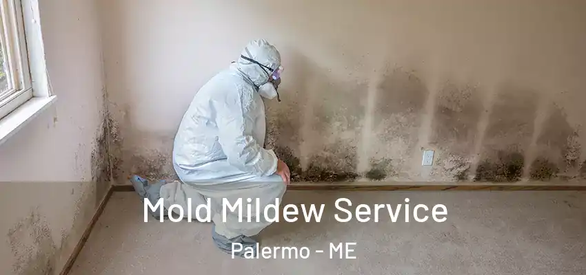  Mold Mildew Service Palermo - ME