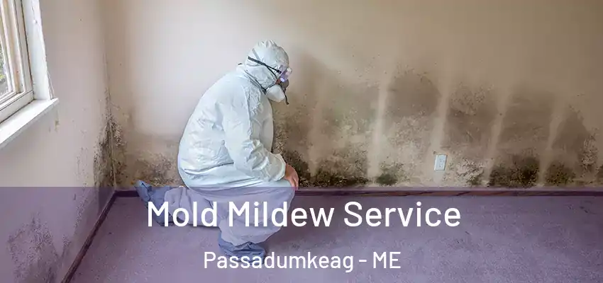 Mold Mildew Service Passadumkeag - ME