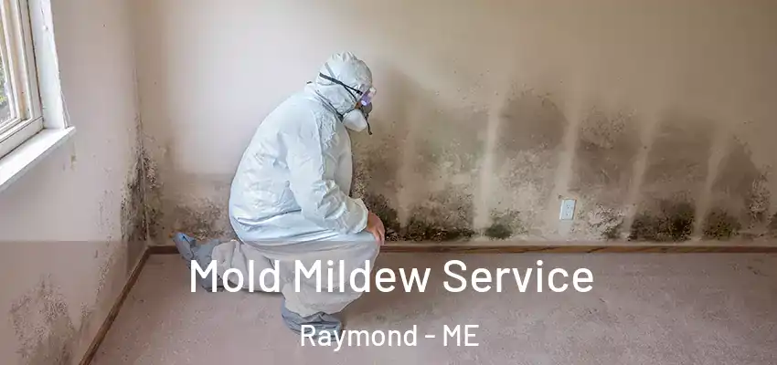 Mold Mildew Service Raymond - ME