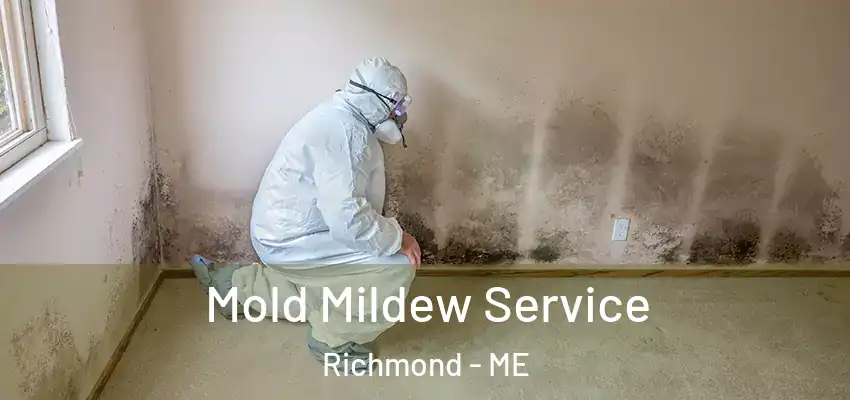  Mold Mildew Service Richmond - ME