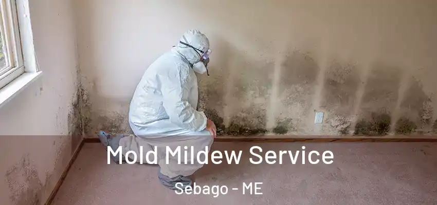 Mold Mildew Service Sebago - ME