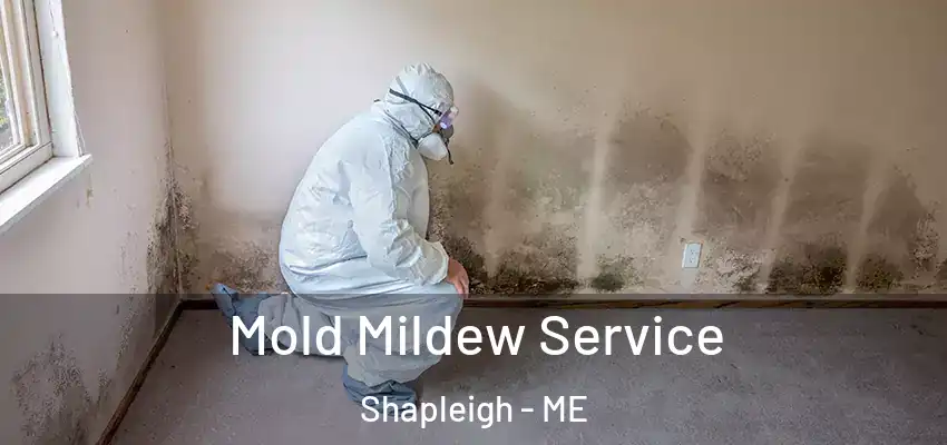  Mold Mildew Service Shapleigh - ME