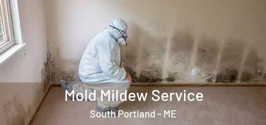 Mold Mildew Service South Portland - ME