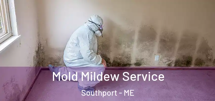 Mold Mildew Service Southport - ME