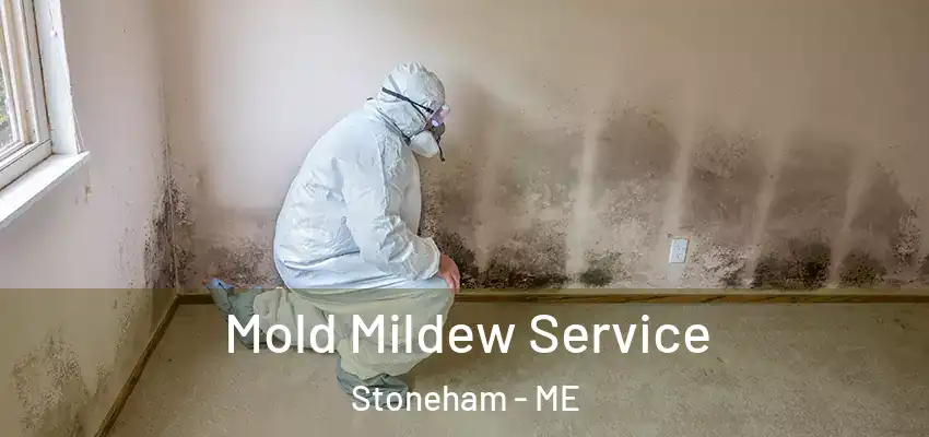  Mold Mildew Service Stoneham - ME