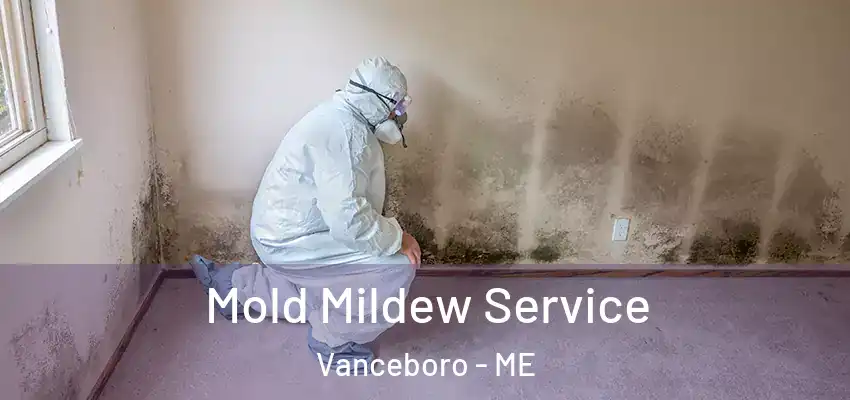 Mold Mildew Service Vanceboro - ME