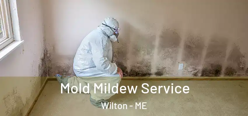 Mold Mildew Service Wilton - ME