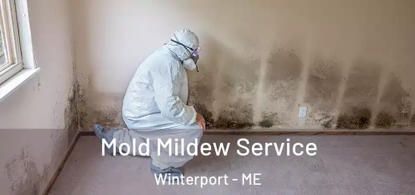 Mold Mildew Service Winterport - ME