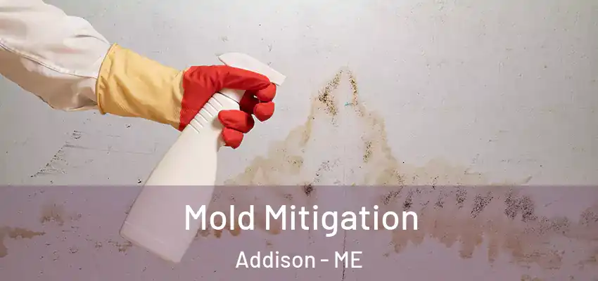  Mold Mitigation Addison - ME