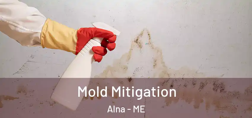  Mold Mitigation Alna - ME
