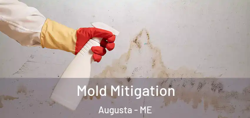  Mold Mitigation Augusta - ME