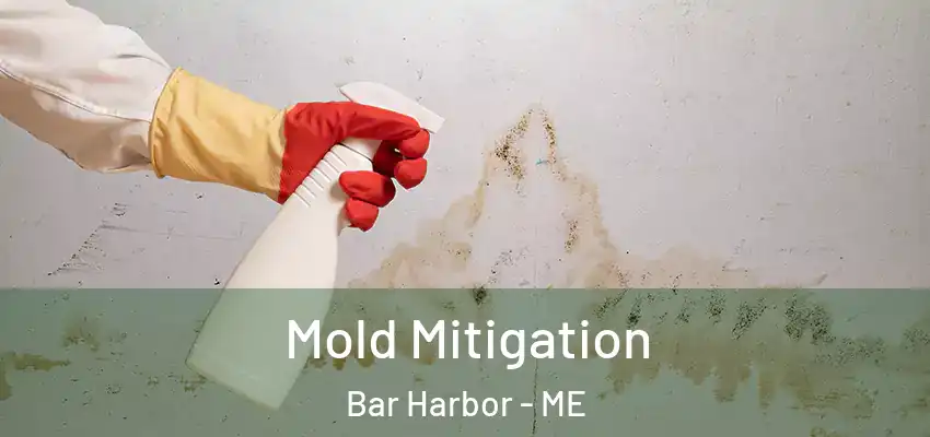  Mold Mitigation Bar Harbor - ME