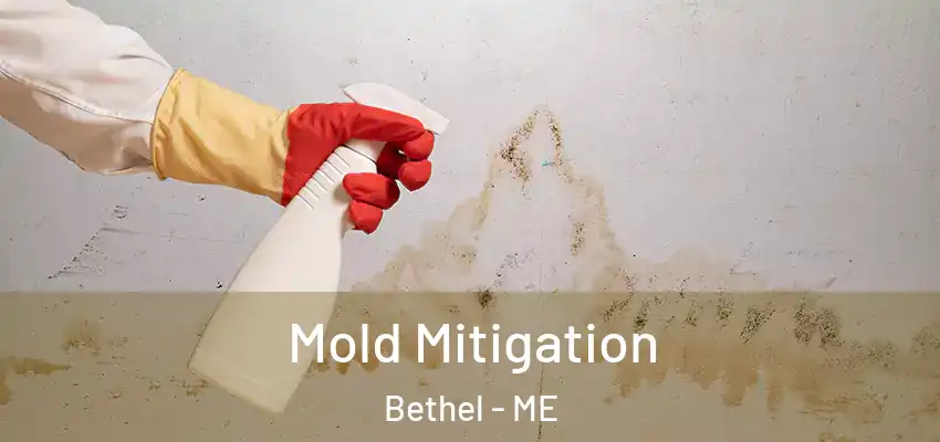  Mold Mitigation Bethel - ME