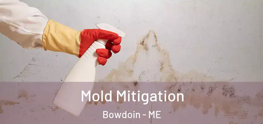  Mold Mitigation Bowdoin - ME