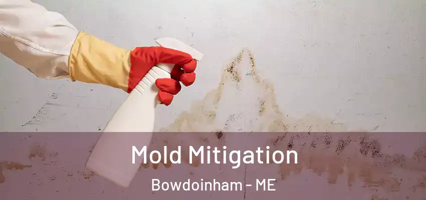  Mold Mitigation Bowdoinham - ME