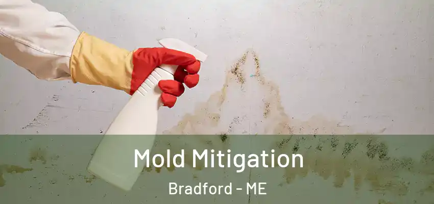 Mold Mitigation Bradford - ME
