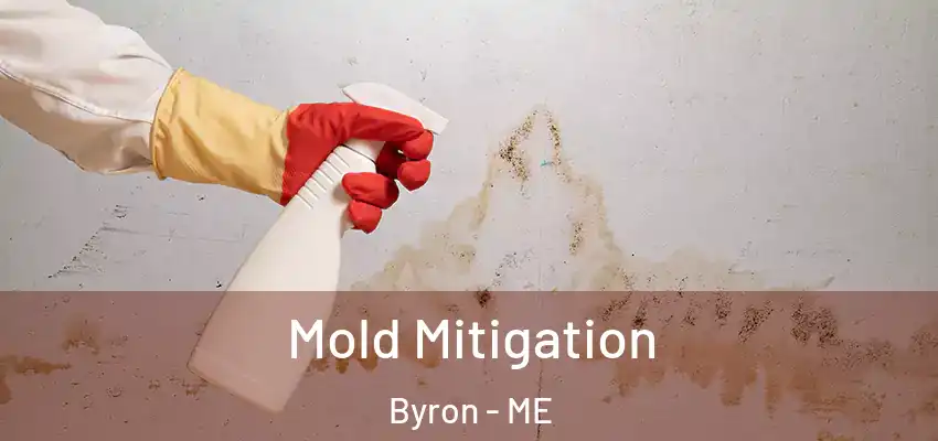  Mold Mitigation Byron - ME
