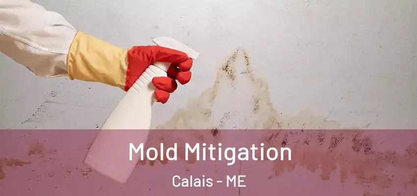  Mold Mitigation Calais - ME
